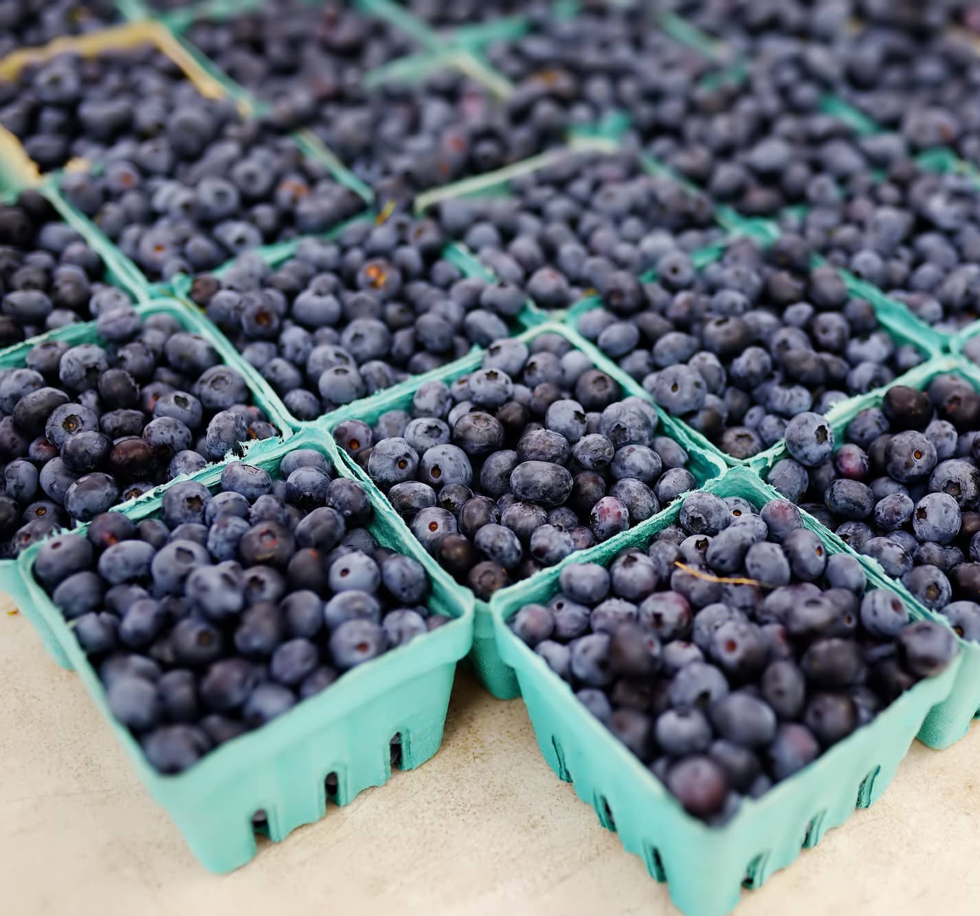 cartons of fresh blueberries