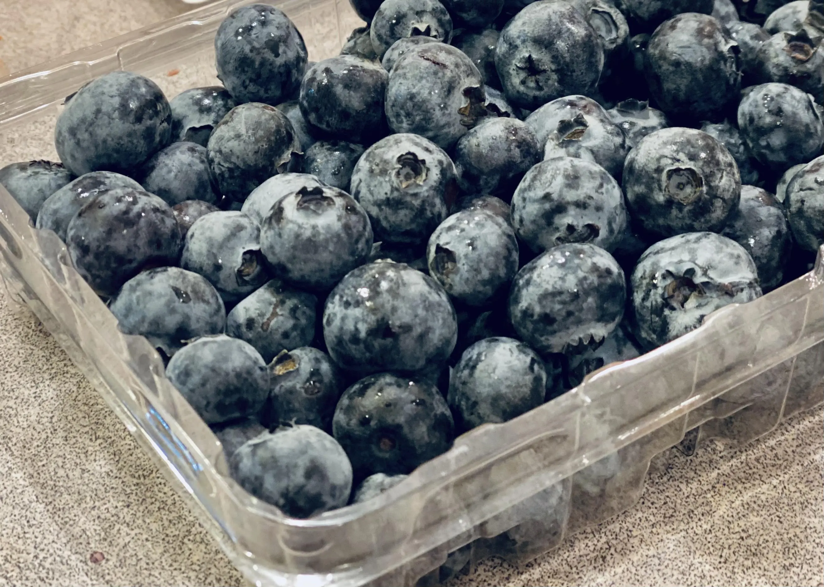fresh blueberries in container
