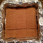 S'mores Grahams for brownies