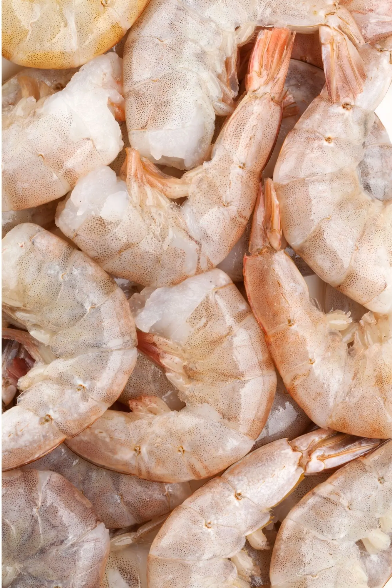 uncooked shrimp in shells