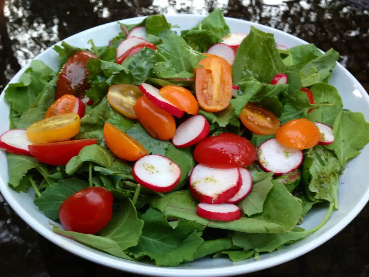 baby kale salad with tomatoes and radishes