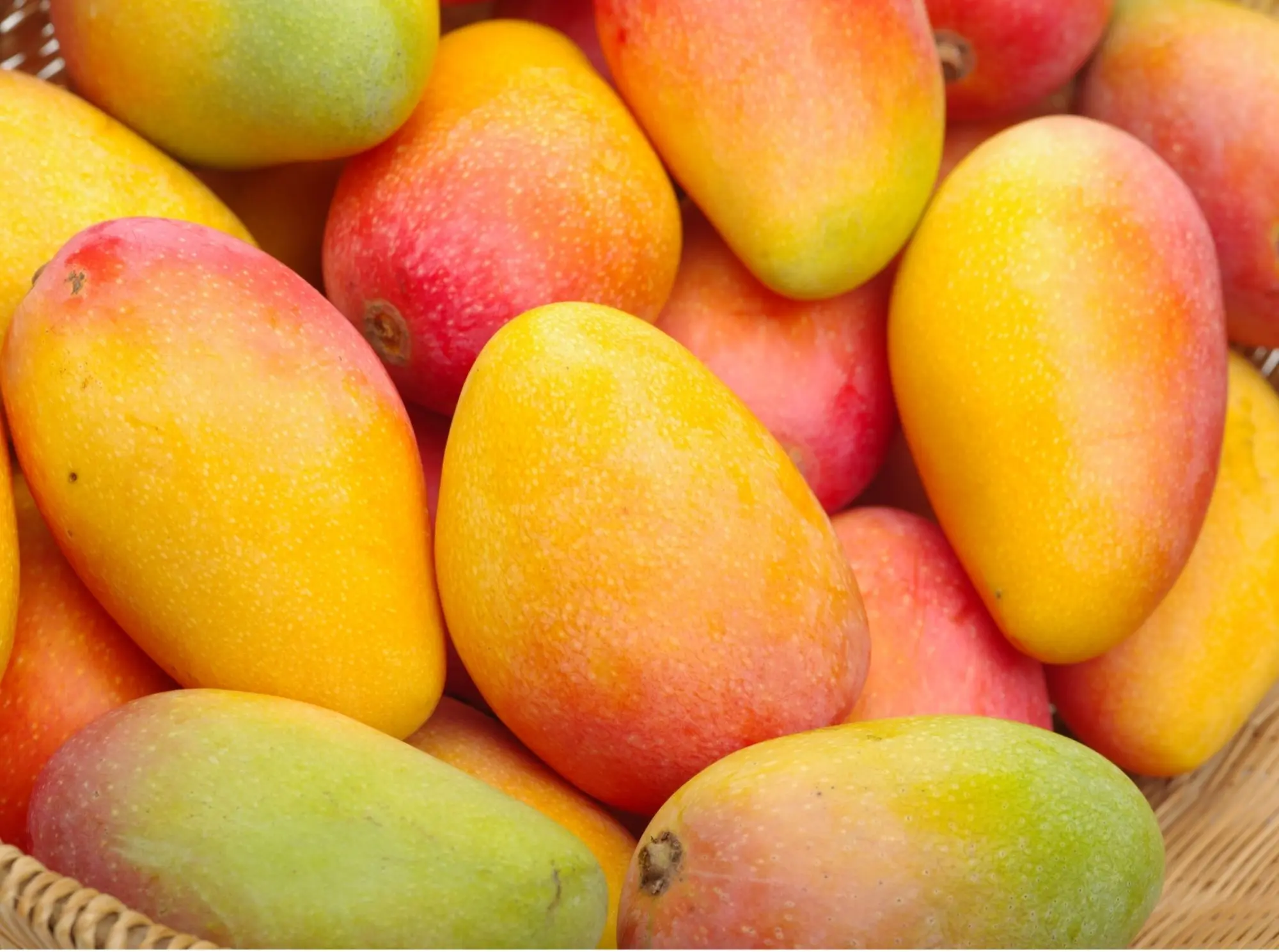 pile of colorful mangoes