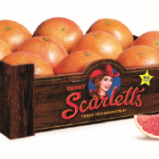 Sweet Scarlett Red Grapefruit in box