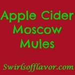 Our Apple Cider Moscow Mule cocktail recipe is a twist on this classic cocktail replacing the lime juice with seasonal apple cider and garnishing with an orange slice and a cinnamon stick stirrer! The Moscow Mule has been updated for the cool autumn weather and this trendy cocktail never tasted so good! #moscowmule #cocktail #easyrecipe #applecider #limejuice #entertaining #autumnrecipe #vodka #gingerbeer #drinks #drinkrecipe #swirlsofflavor