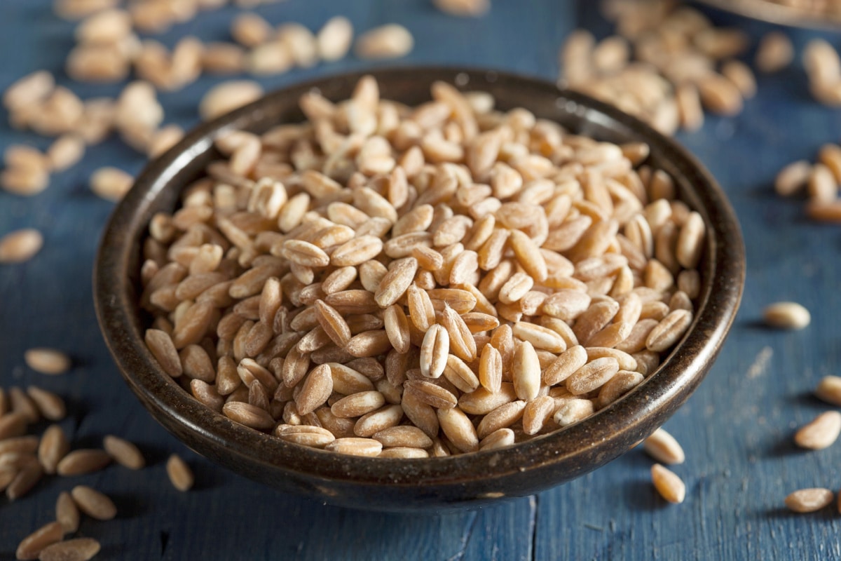 uncooked farro in a wooden bowl
