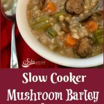 Slow Cooker Mushroom Barley Soup is bursting with tender mushrooms, carrots, celery and onions complimented by bits of barley in a perfectly seasoned broth. Let your slow cooker do the work for you with this easy beef mushroom barley slow cooker recipe for dinner tonight! #slowcooker #soup #mushroom #barley #homemadesoup #easyrecipe #dinner #comfortfood #crockpot #swirlsofflavor