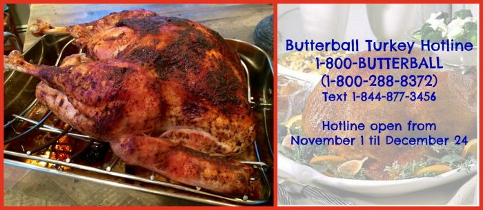 Keep the Butterball Turkey Hotline number handy this holiday season because you never know when you'll need it! 1-800-BUTTERBALL