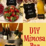 DIY Mimosa Baar with step by step