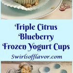 Made with fresh blueberries, yogurt and granola, Triple Citrus Blueberry Frozen Yogurt Cups are a refreshing and nutritious frozen snack, dessert or breakfast and the perfect way to cool off on a hot day.