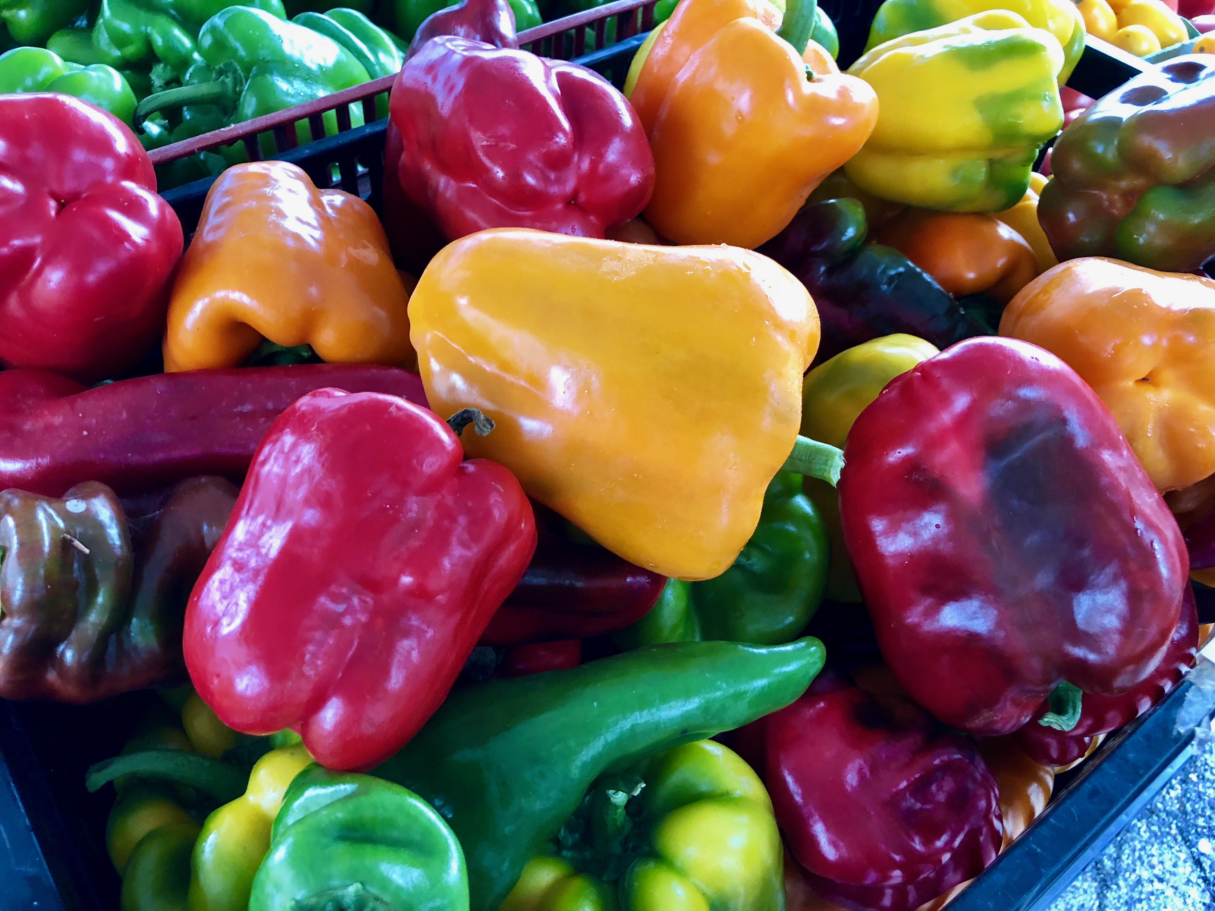 red, green, yellow and range bell peppers