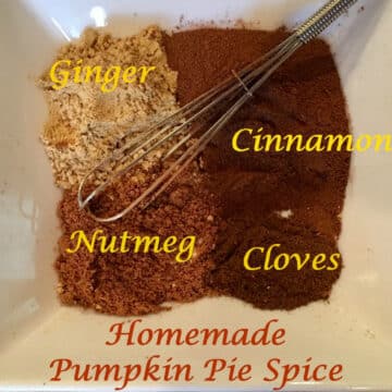ingredients for homemade pumpkin spice with small whisk