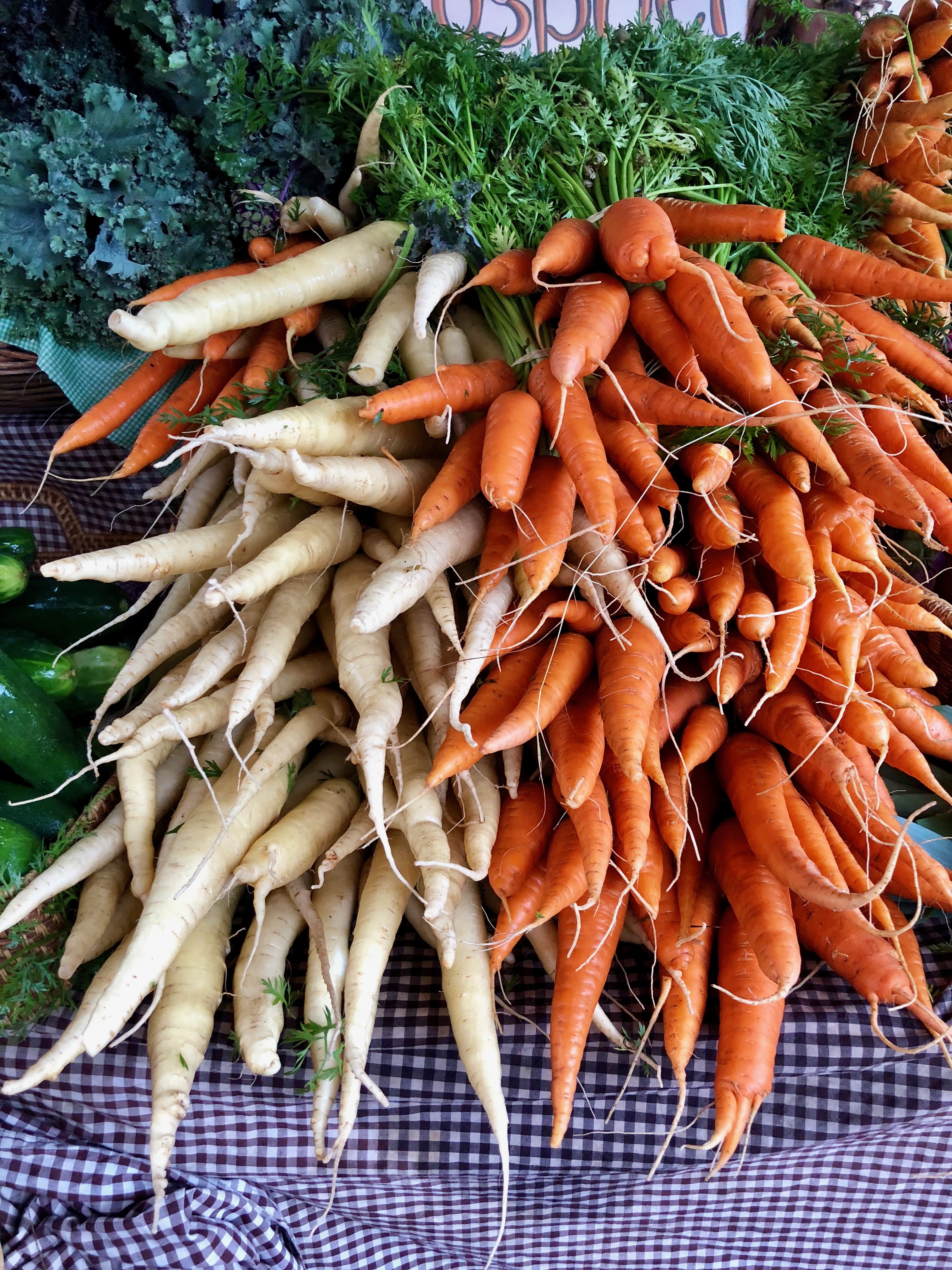 Fresh orange carrots and white carrots with green tops.