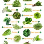Greens you can use to make a salad