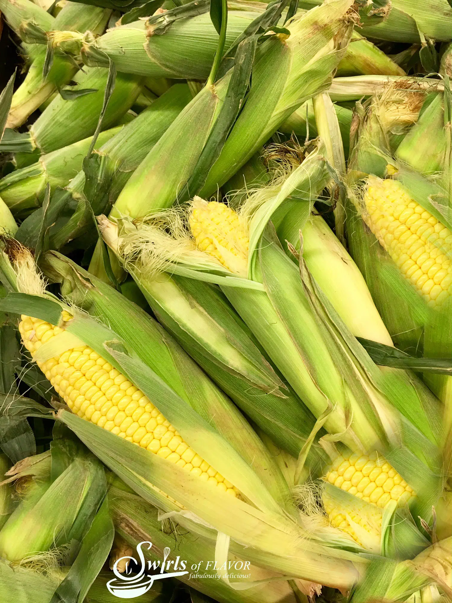 pile of corn on the cob in husks