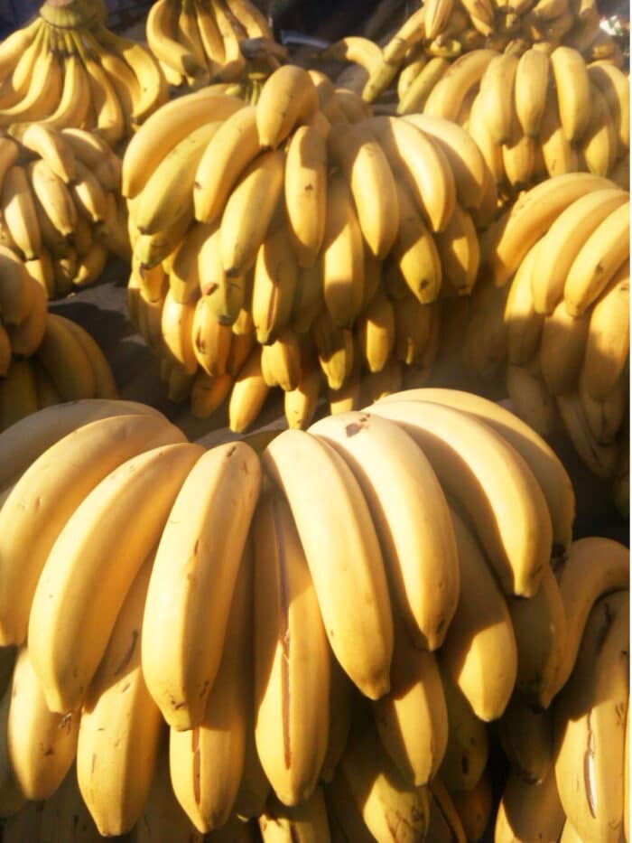 bunches of bananas