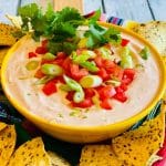 Salsa Dip with chips