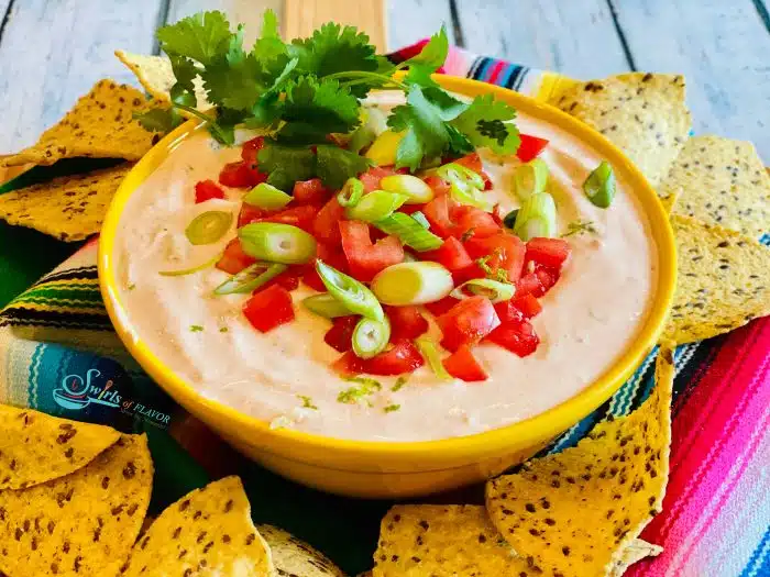 Salsa Dip with chips