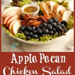 Bowl of apple pecan chicken salad with honey mustard salad dressing