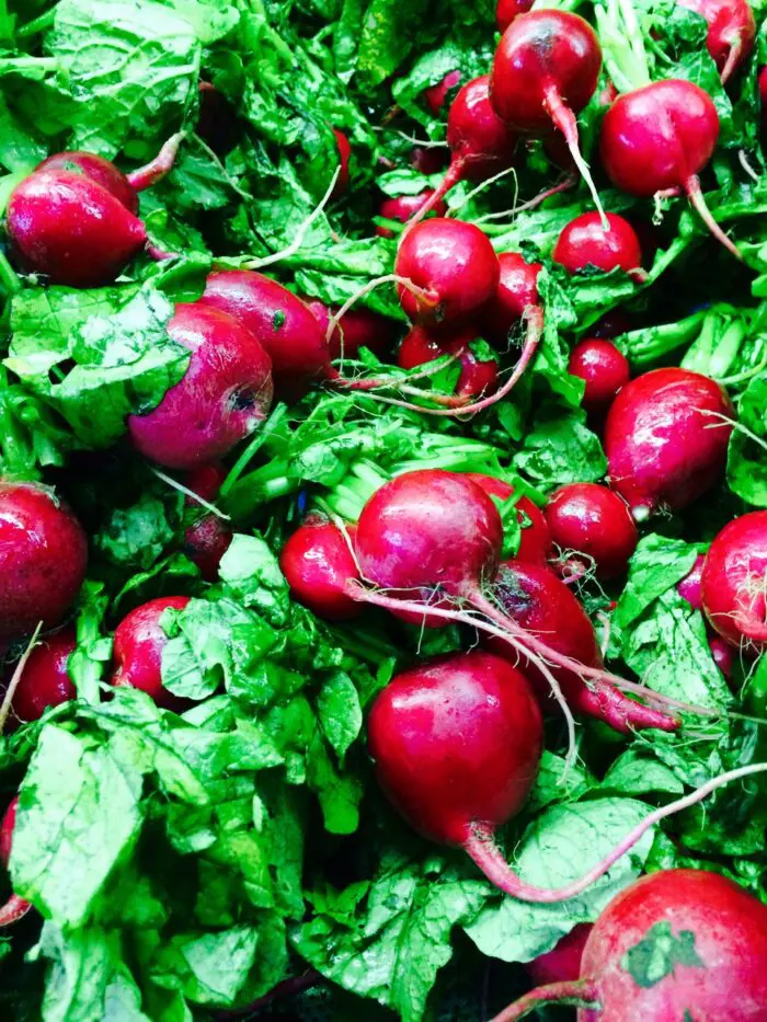 bunches of radishes with green tops