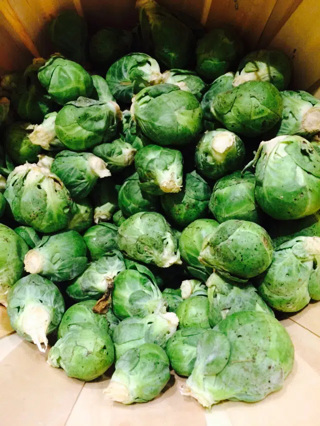 brussel sprouts in basket
