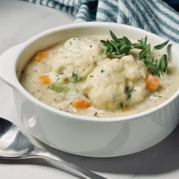 bowl of creamy chicken and dumplings with spoon