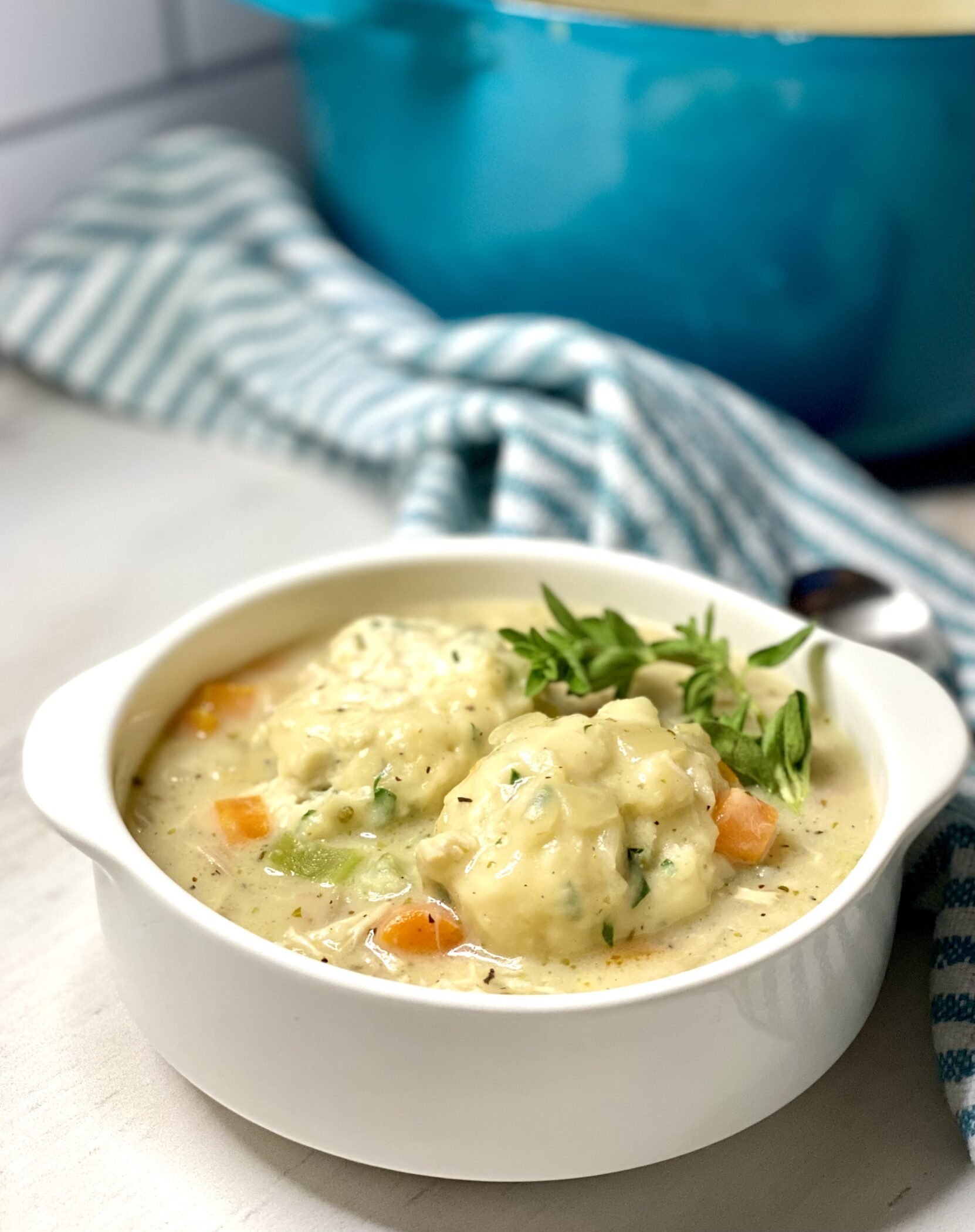 single serving of chicken and dumplings with pot in background