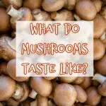 What Do Mushrooms Taste Like