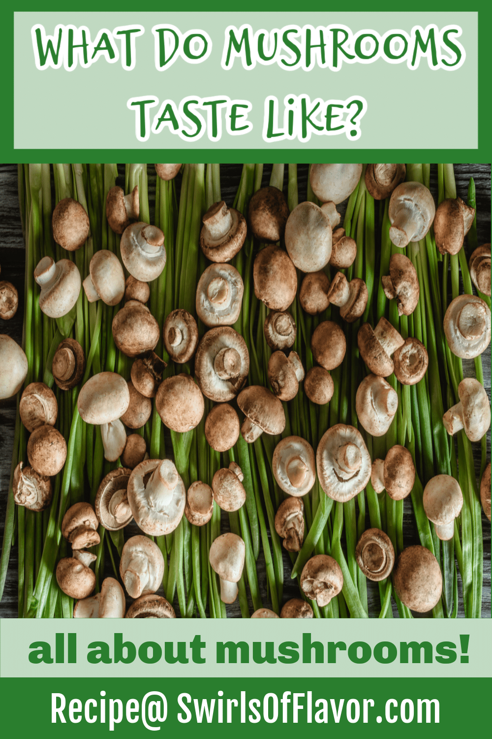 What Do Mushrooms Taste Like Swirls of Flavor