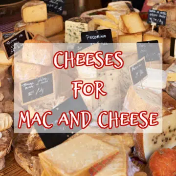 cheeses for mac and cheese with text overlay