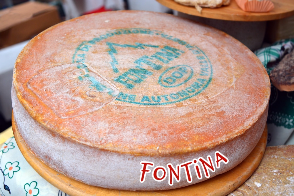 round of Fontina cheese