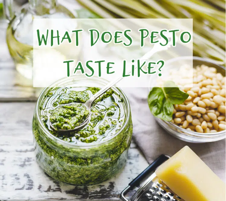 what does pesto taste like with a jar of pesto