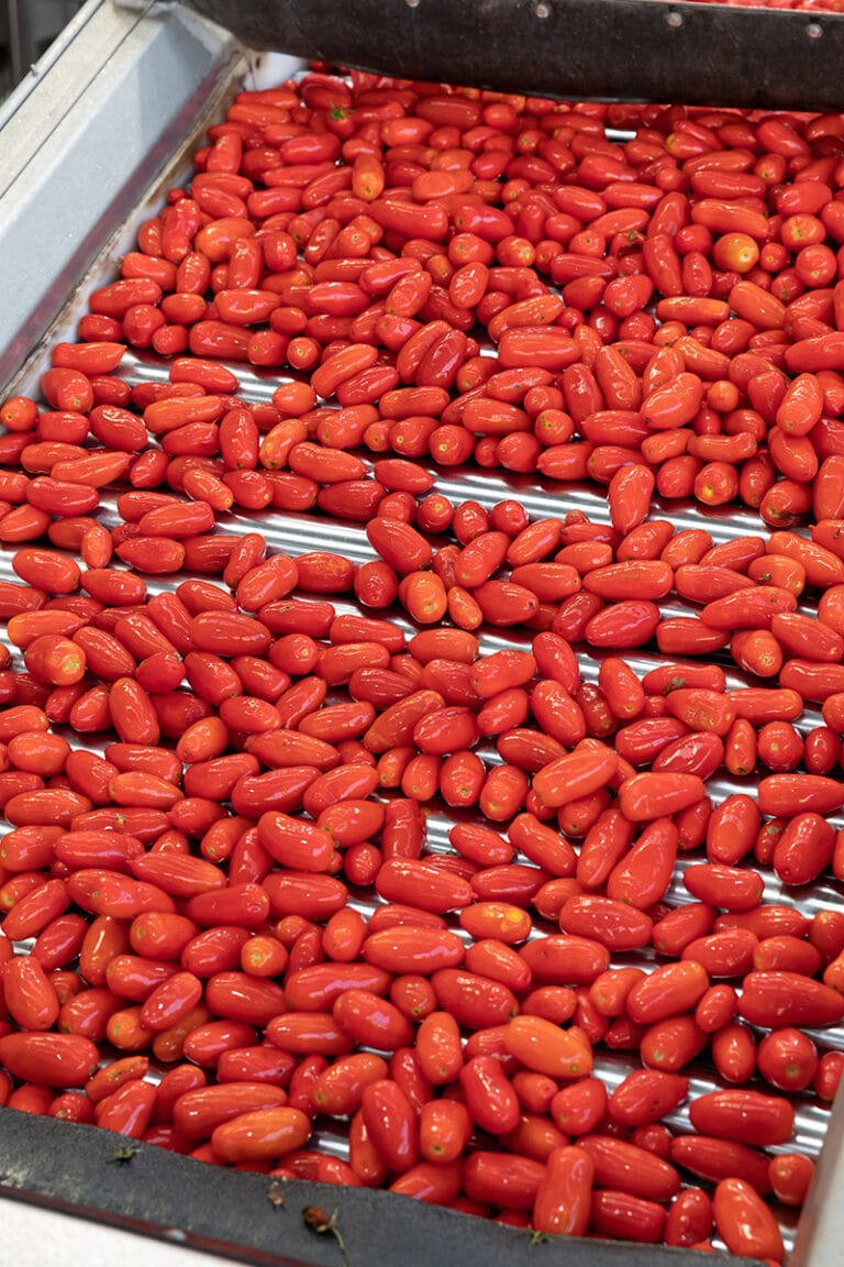 What are San Marzano tomatoes DOP Swirls of Flavor