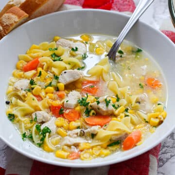 bowl of dutch oven chicken noodle soup