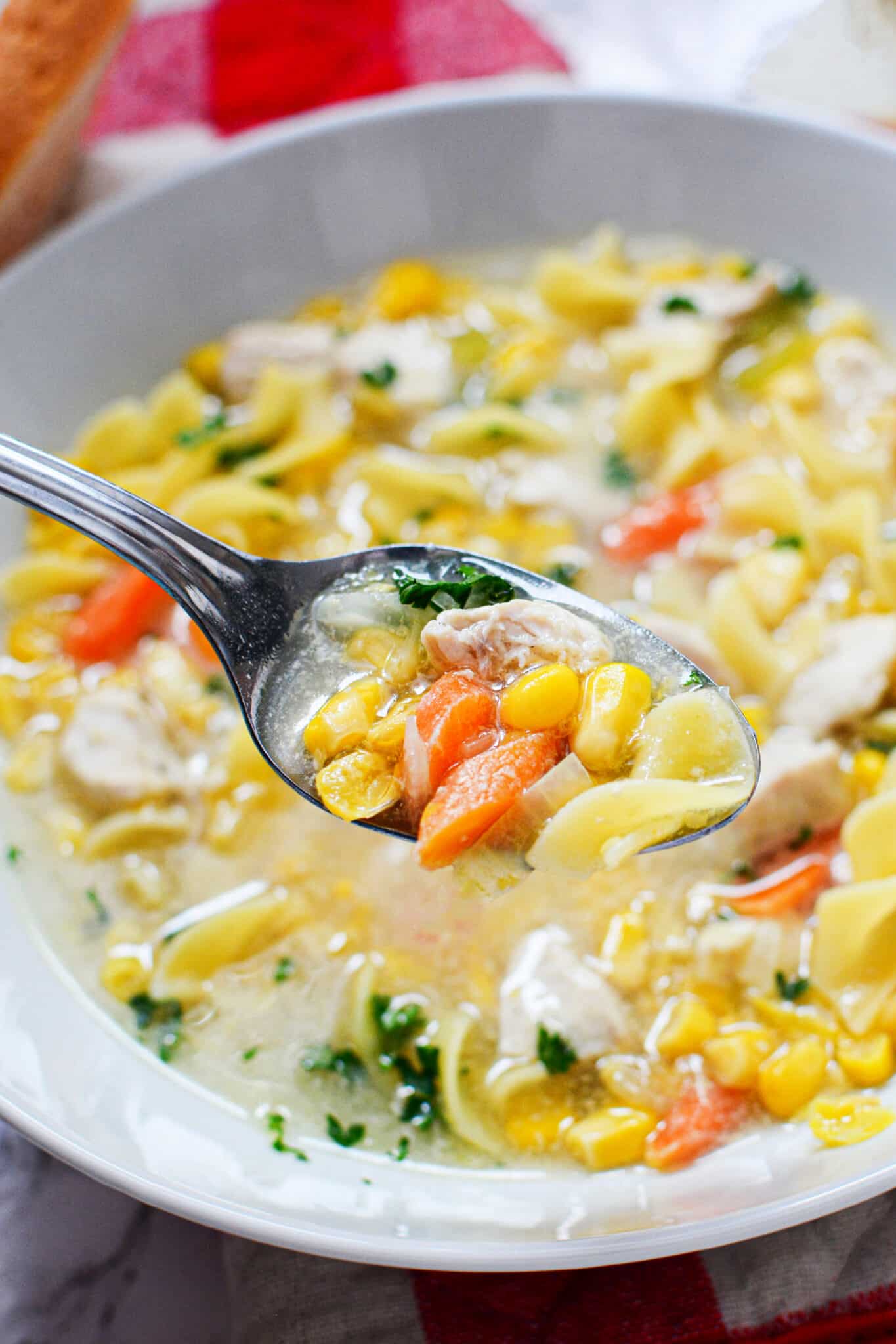 Dutch Oven Chicken Noodle Soup Swirls of Flavor