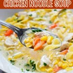 chicken noodle soup with text overlay