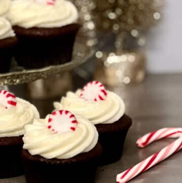 peppermint chocolate cupcakes with candycane