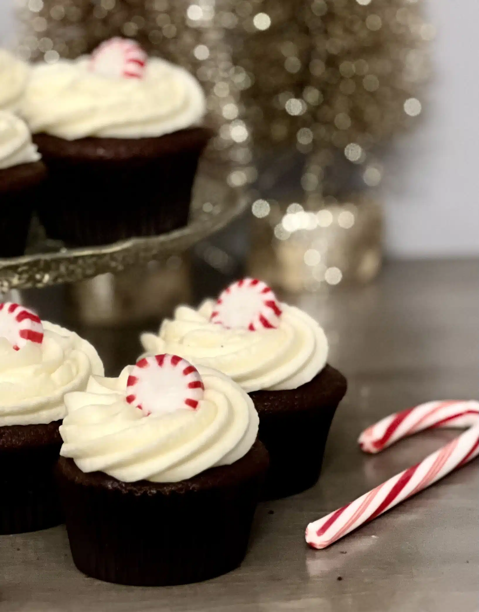Pepperrmint Chocolate cupcakes with candy canes