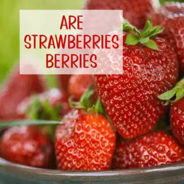 bowl of strawberries with text overlay