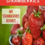 bowl of strawberries and text overlay