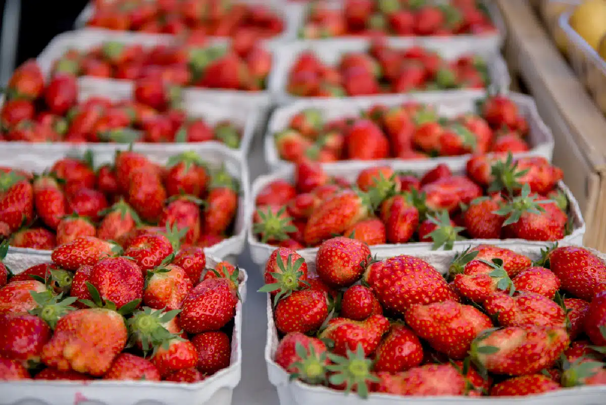 baskets of fresh strawberries