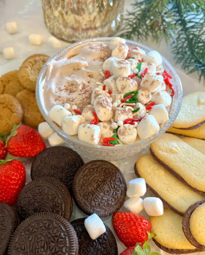 cocoa dip with holiday sprinkles and dippers