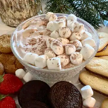 hot cocoa dip with cookie and fruit dippers