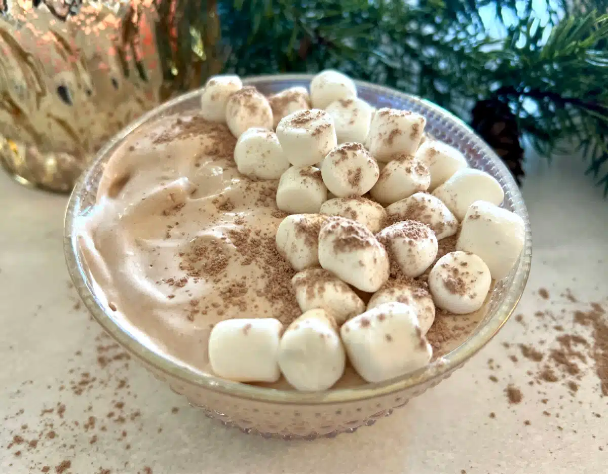 hot cocoa dip with mini marshmallows