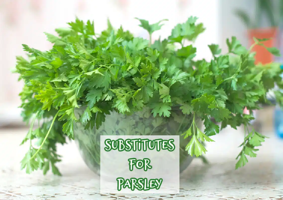 bunch of parsley in a glass bowl with text overlay