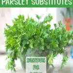 parsley in a bowl with text overlay