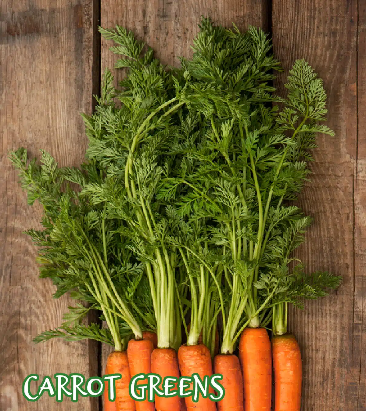 carrot greens
