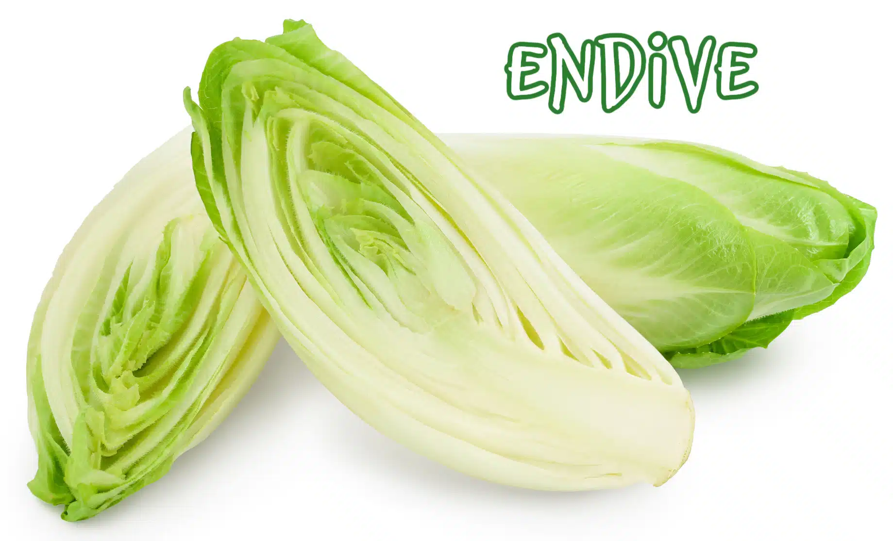 heads of endive