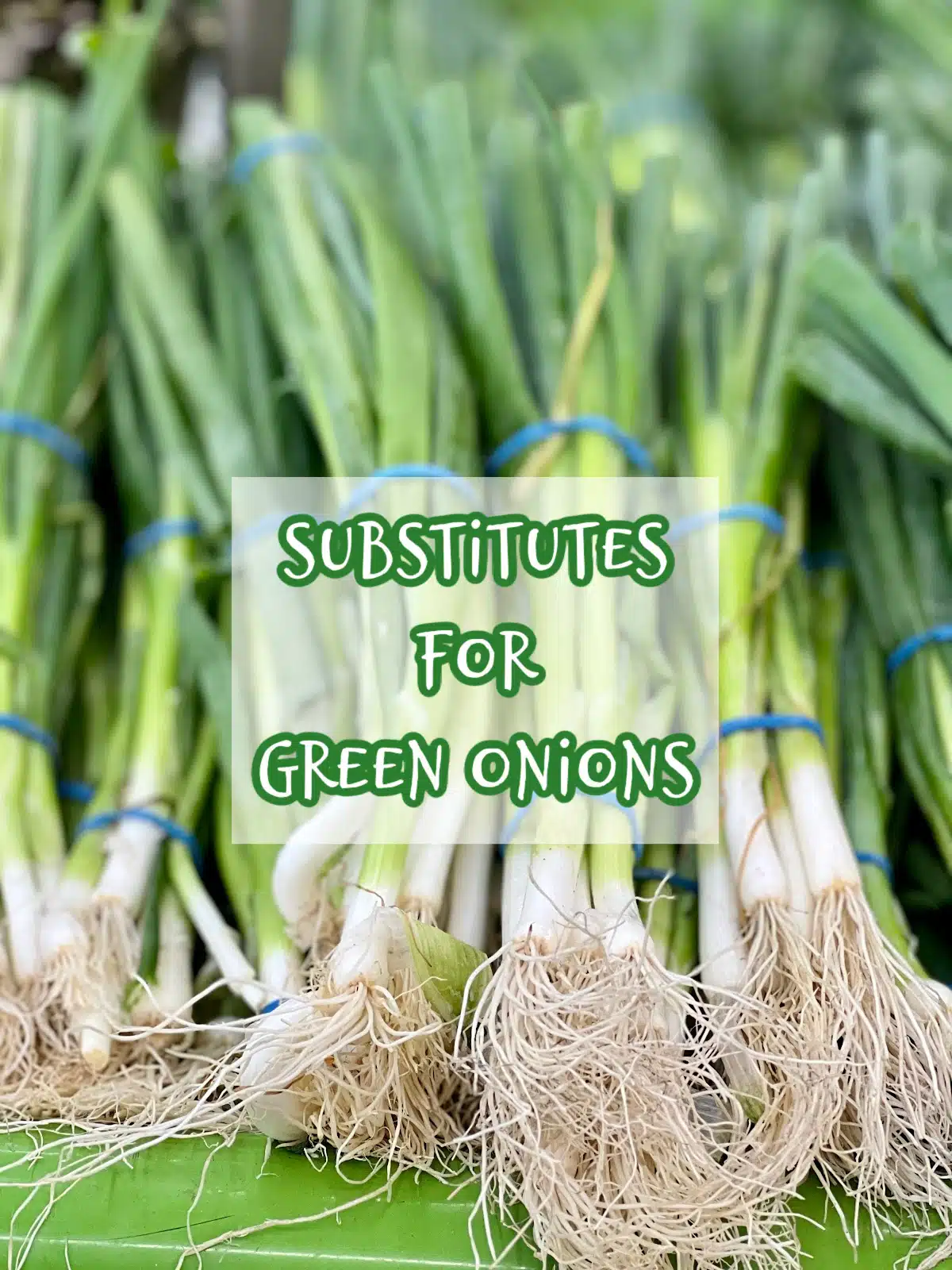 bunches of green onions with text overlay