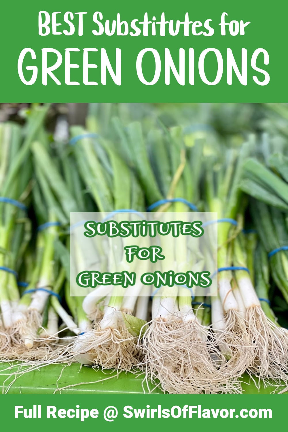 Substitutes for Green Onions - Swirls of Flavor