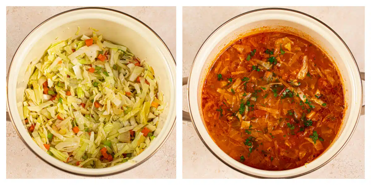 steps for making cabbage soup